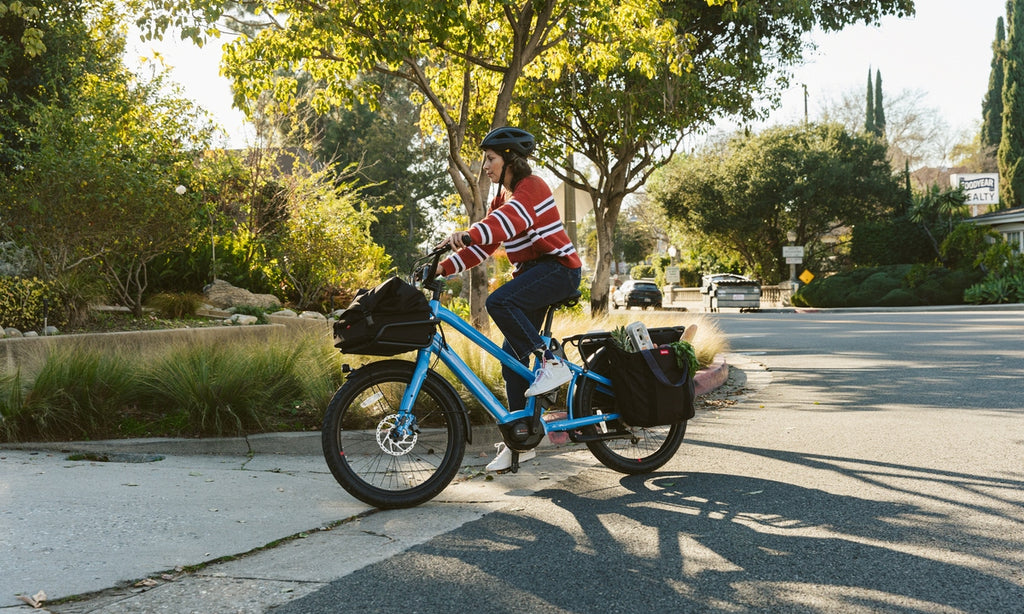 dutch electric bike vanmoof