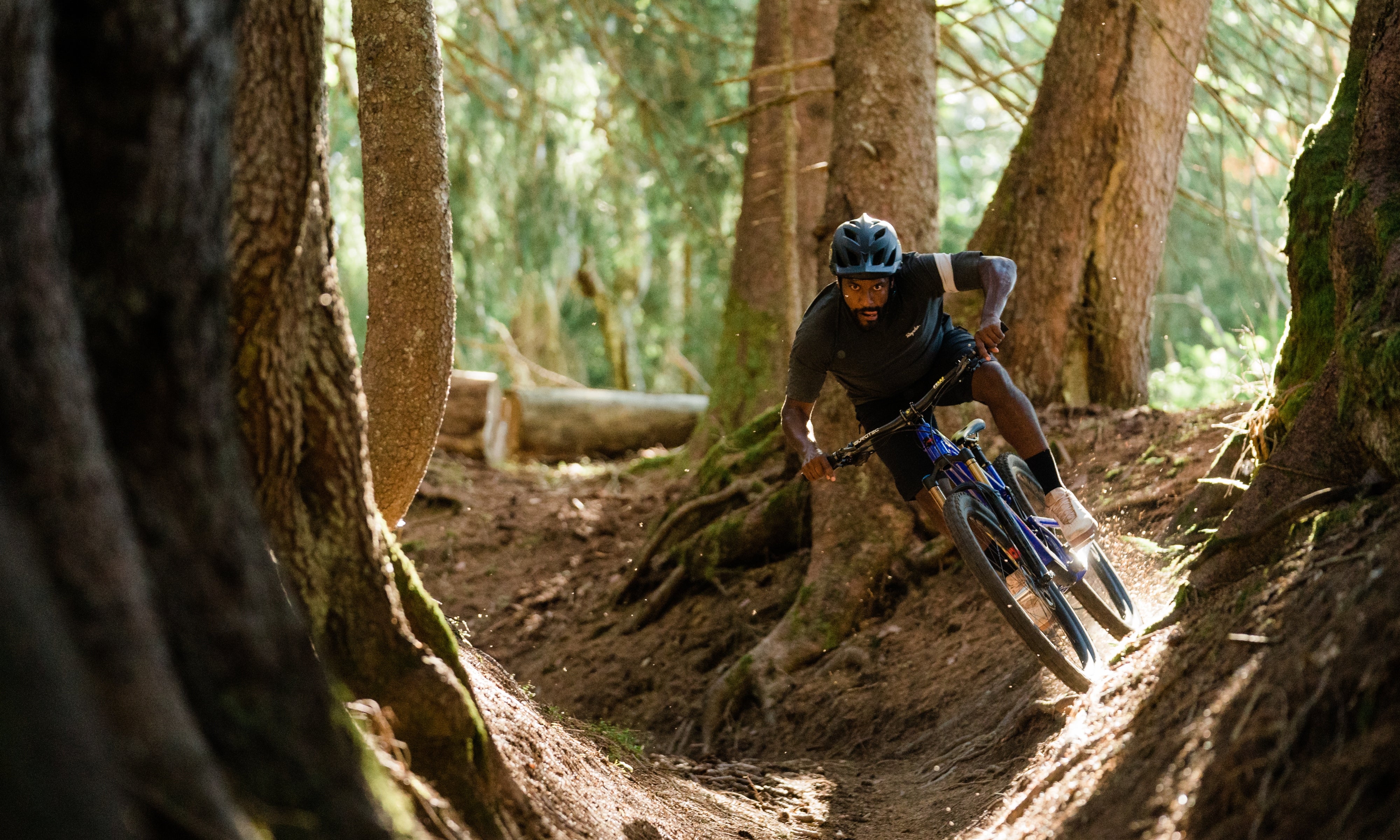 Santa cruz bike discount trails