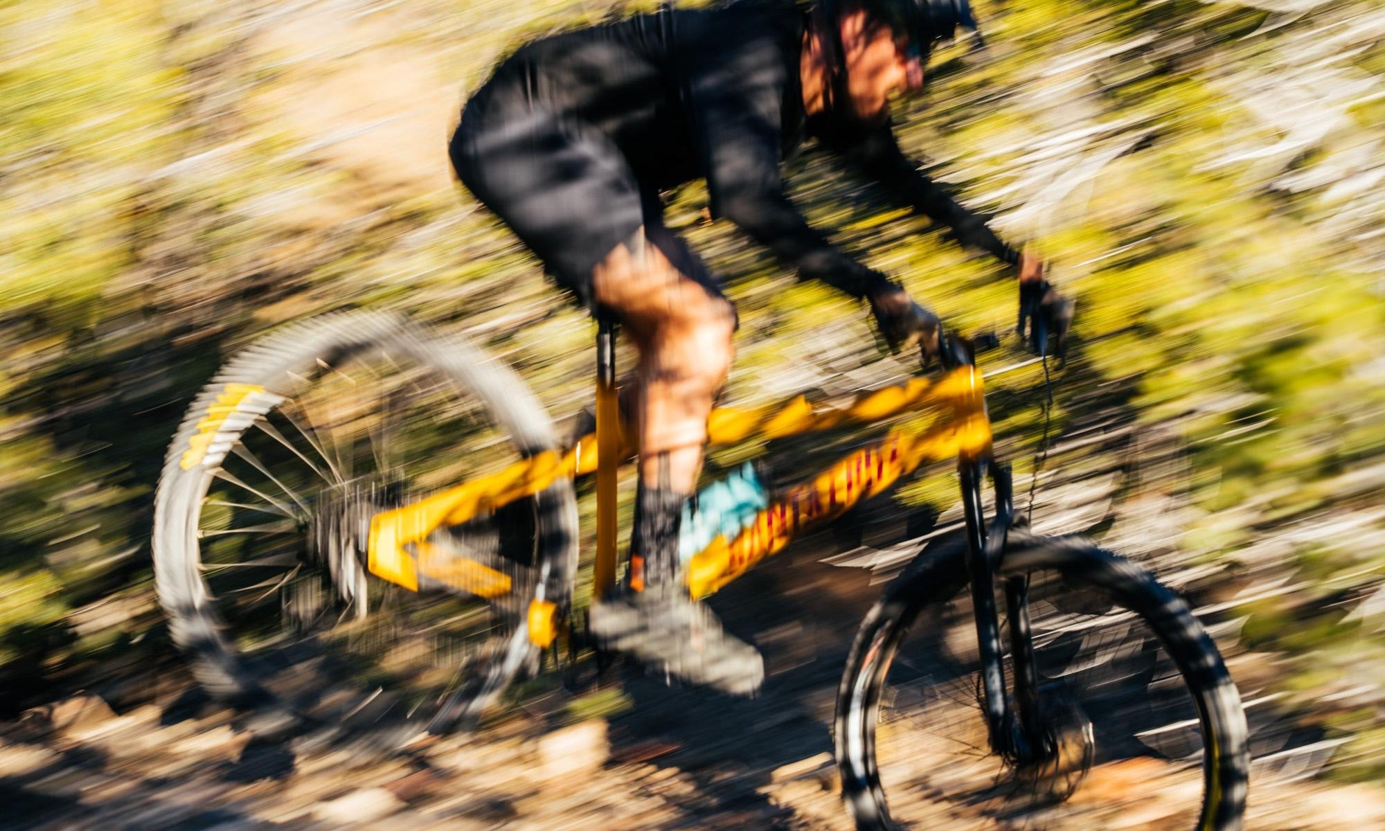 The Best Hardtail Mountain Bikes of 2022 The Pro s Closet