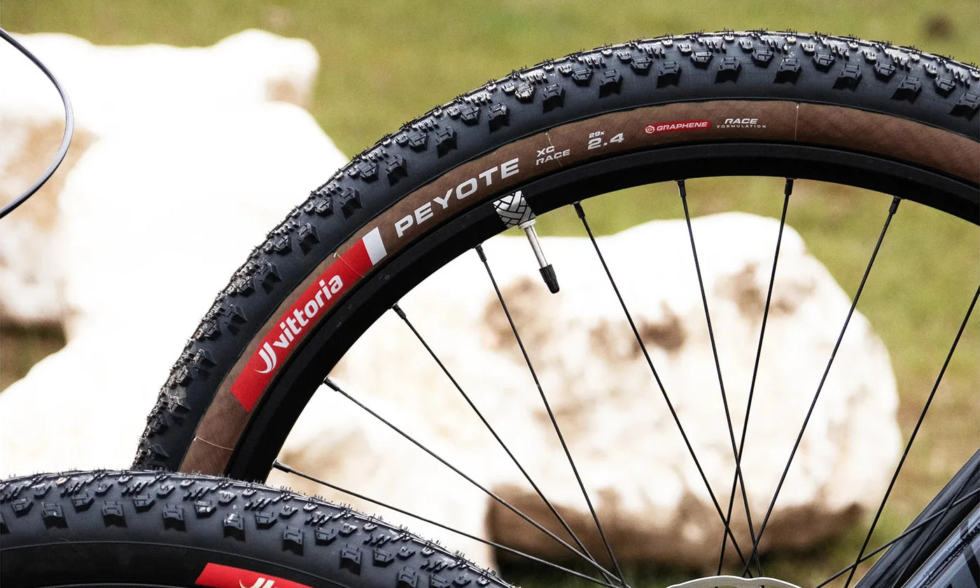 Best xc tires 29er sale