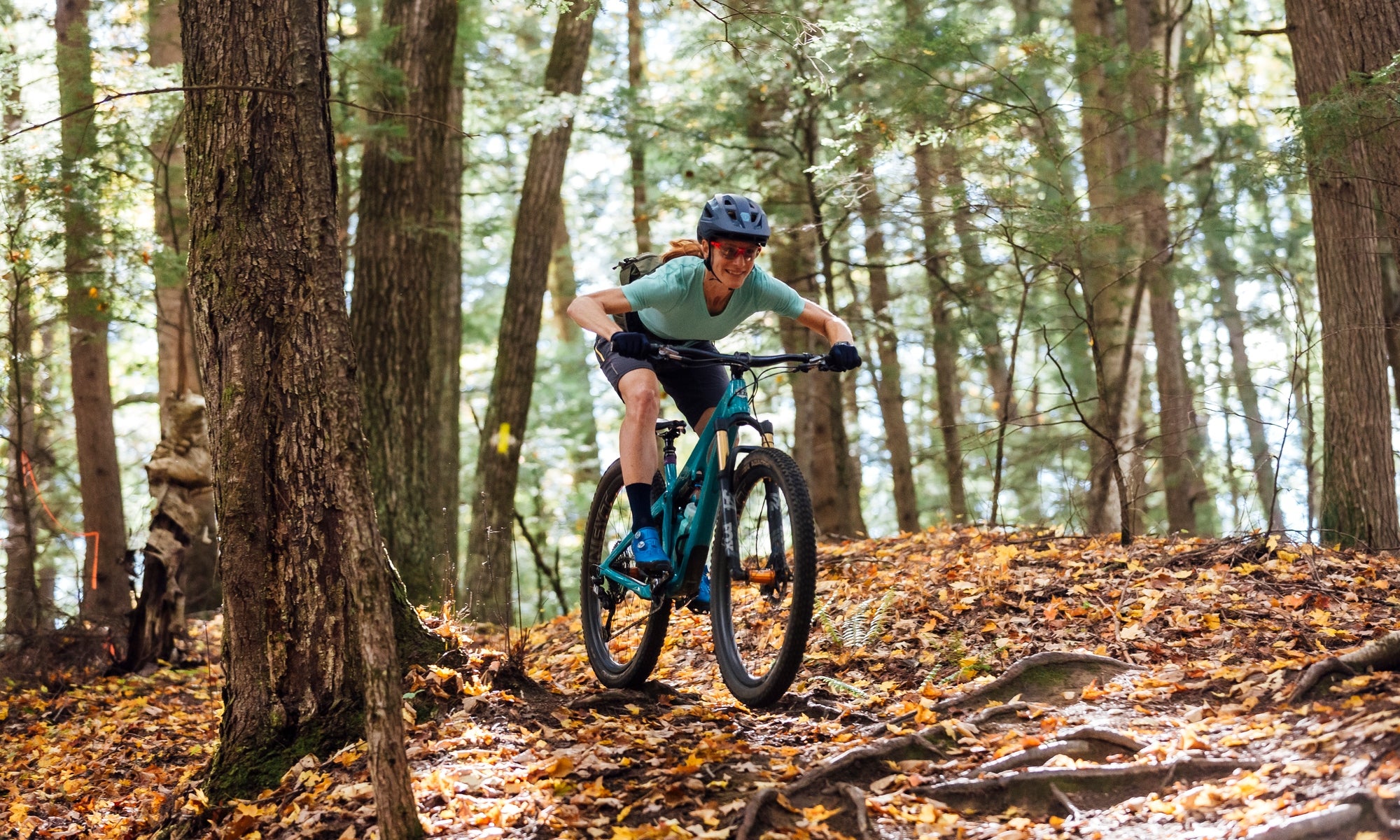 Blue book deals mountain bike