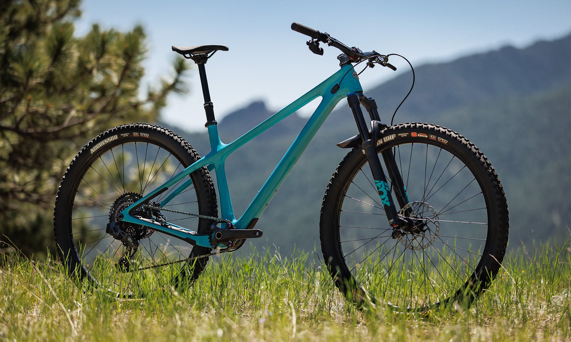 Yeti hardtail best sale for sale